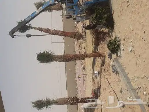 عملاانا الكرام يوجد لدينا جميع انواع الاسمده 78