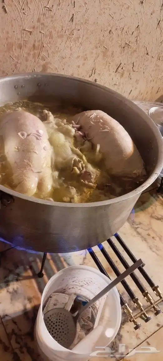 طباخ متنقل داخل وخارج الرياض طبخ شعبي ايدام جريش قرصان 4