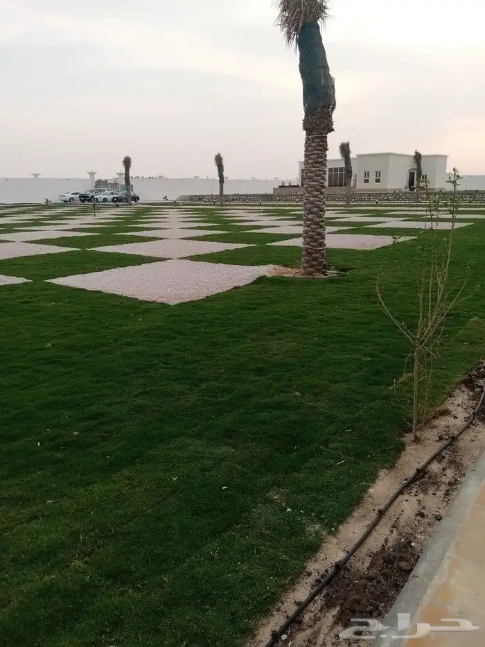 عملاانا الكرام يوجد لدينا جميع انواع الاسمده 20