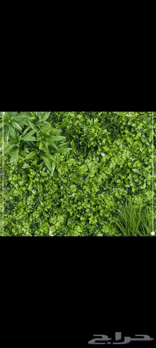 مستودع جملة فنوون العشب 2