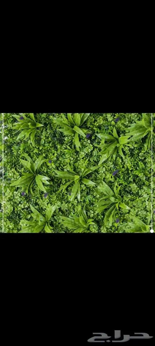 مستودع جملة فنوون العشب 1