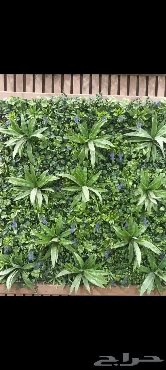 مستودع جملة فنوون العشب 3