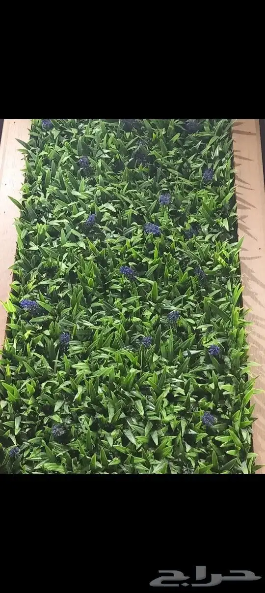مستودع جملة فنوون العشب 4