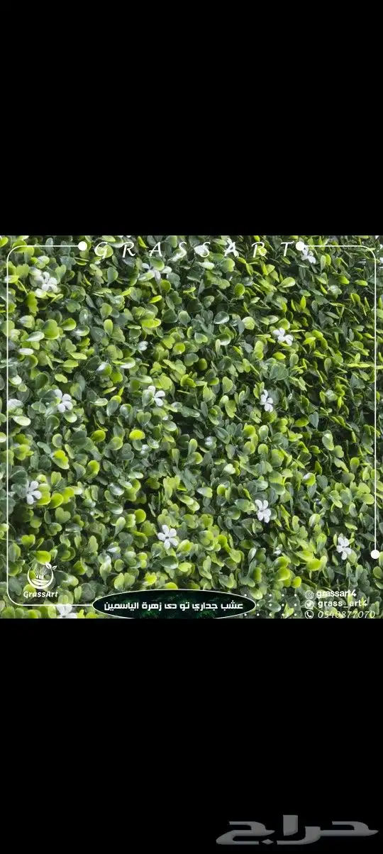 مستودع جملة فنوون العشب 5