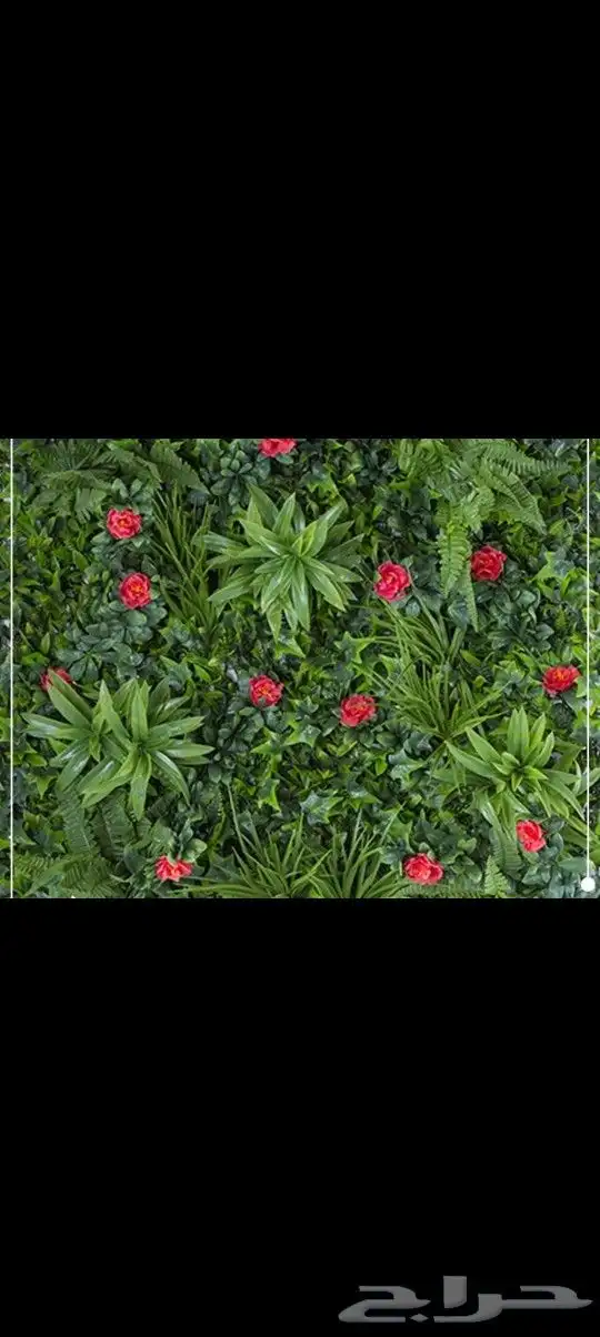 مستودع جملة فنوون العشب 0