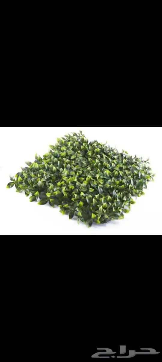 مستودع جملة فنوون العشب 8