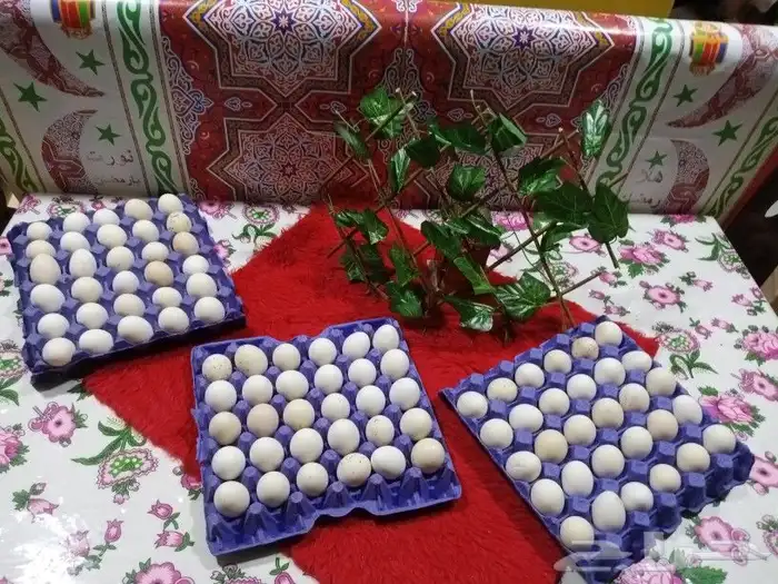 بيض بلدي طازج للاكل 0