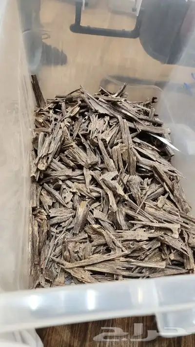 عود هندي نقلند فاخر علية تصفيه. 0