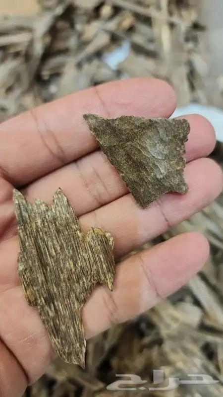 عود هندي نقلند فاخر علية تصفيه. مزاد 2