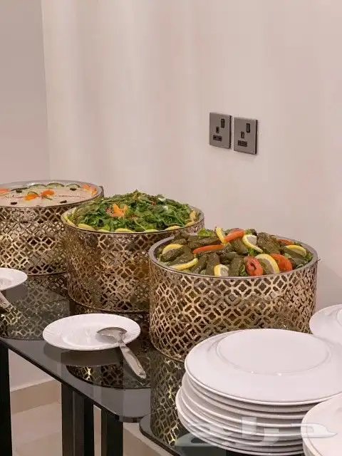 بوفيهات مفتوحه للحفلات الخارجيه والمناسبات 1