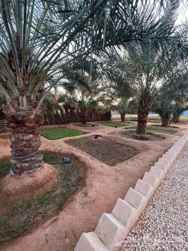 استراحه الرحمانيه العفجه الهياثم الخرج الرياض 9