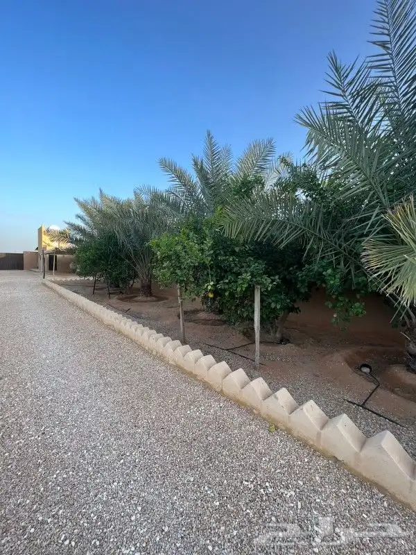 استراحه الرحمانيه العفجه الهياثم الخرج الرياض 6
