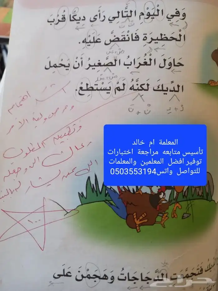 معلمة تأسيس ومتابعة ومحفظة للقرآن الكريم 0