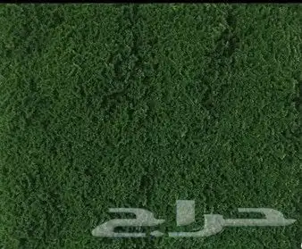 تصميم وتنسيق_الحدائق_المنزلي 24