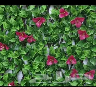 تصميم وتنسيق_الحدائق_المنزلي 18