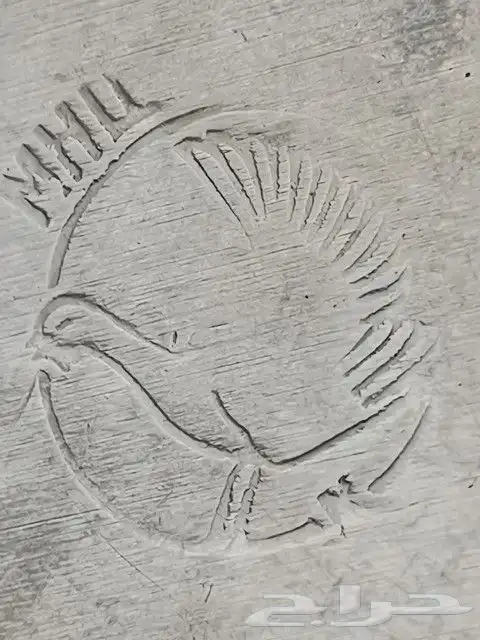 بريق ستيل نظيف 7
