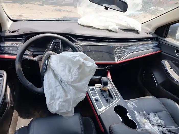 شيري اريزو 6 5