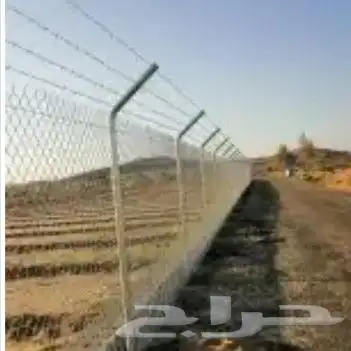توريد اشجار زيتون نخل عربي وواشنطني وتركيب الشبوك 28