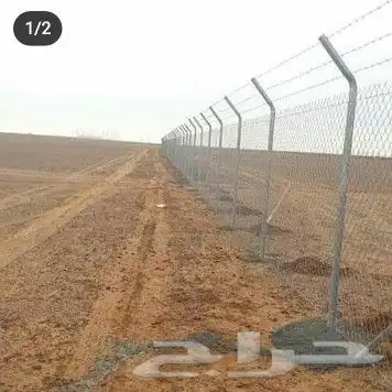 توريد اشجار زيتون نخل عربي وواشنطني وتركيب الشبوك 26