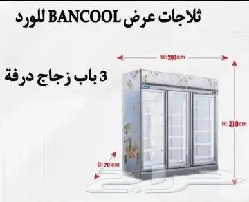 ثلاجات ورد 1