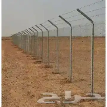 توريد اشجار زيتون نخل عربي وواشنطني وتركيب الشبوك 27