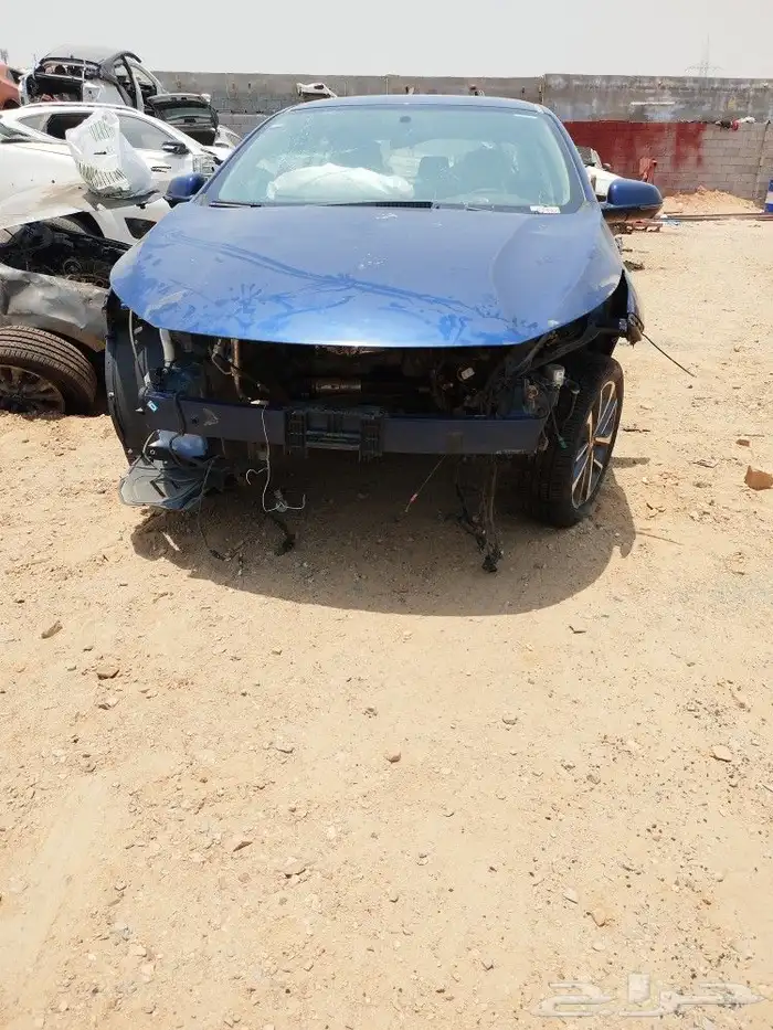 شيري اريزو 6 4