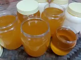 سمن غنم صافي بدون اضافات 0
