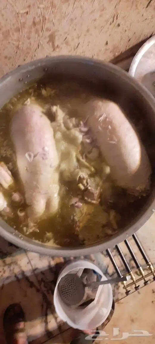 طباخ متنقل 7