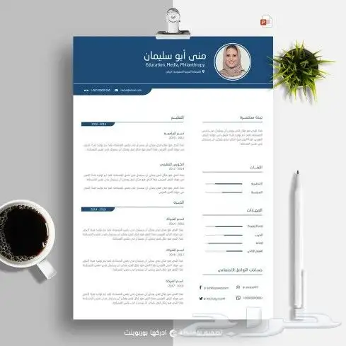 خدمات صناعة السيرة الذاتية (CV) الاحترافية 1