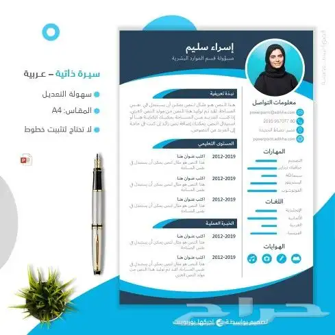 خدمات صناعة السيرة الذاتية (CV) الاحترافية 2