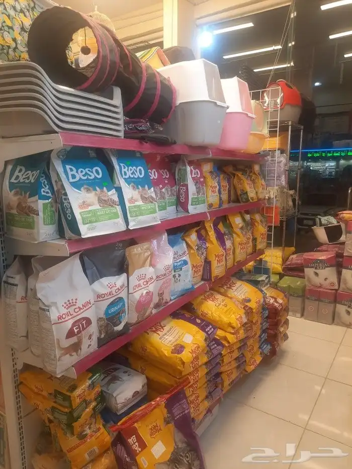 معلبات كت كات معلبات ابلاوز معلبات شيزر معلبات بتشر هملايا 12