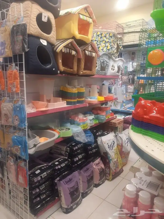 معلبات كت كات معلبات ابلاوز معلبات شيزر معلبات بتشر هملايا 11