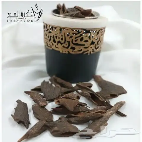 عود ميزروم عود بنغالي 4