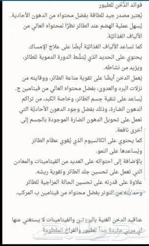 عناقيد الدخن الاصفر للطيور حب دوار الشمس اكل حسون دالي نيشر 9