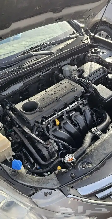 مكاين مكينة كدنزا ازيرا سنتافي كادينزا كرنفال سيرنتو ضمان سن 1