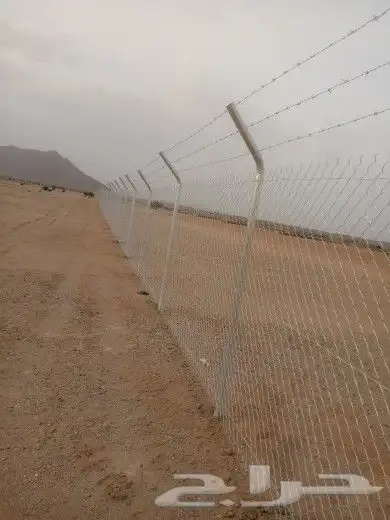 مقاول شبوك 6