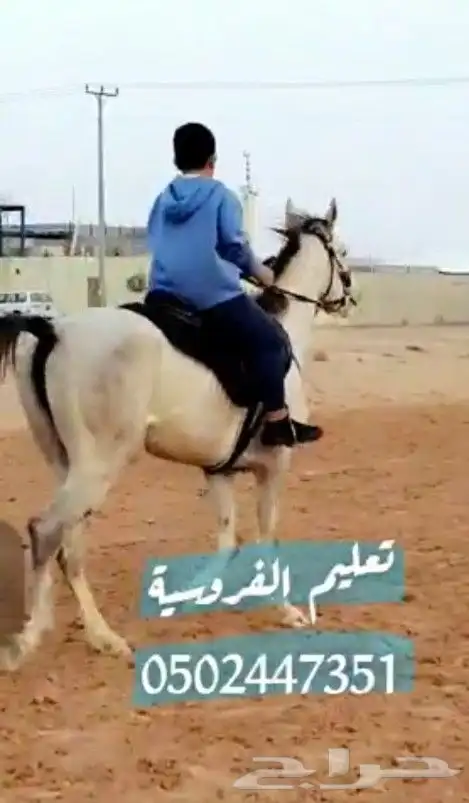 تعليم الفروسية 6