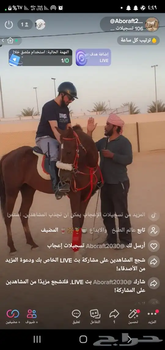 تعليم الفروسية 9