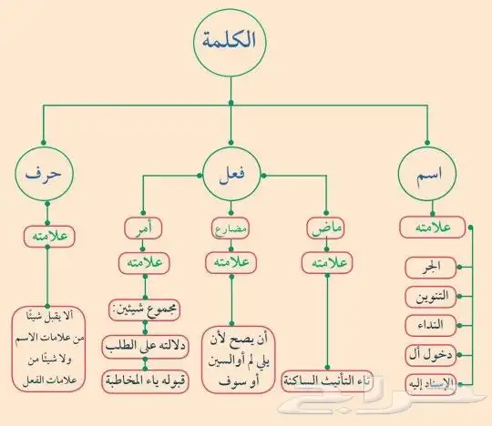 مدرس لغة عربية أردني جميع المراحل الدراسية 1