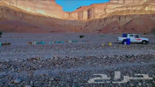 عسل سمرة حضرمي درجة اولى بالكيلو وبالنصف وبالربع 9