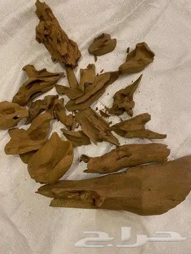 مروكي ذهبي بيور جملة الجملة 800 ريال 1