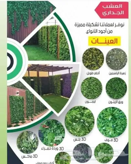 مضلات وسوتر 5