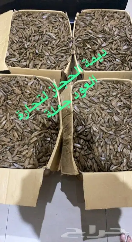 مروكي ذهبي بيور جملة الجملة 800 ريال 3