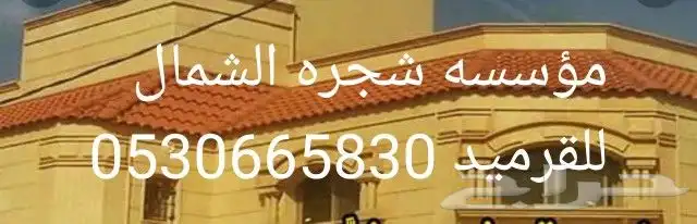 موسسه شجرة الشمال للقرميد 0