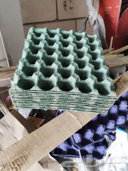 أطباق بيض 2