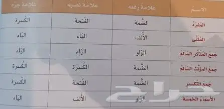 مدرس لغة عربية أردني جميع المراحل الدراسية 2