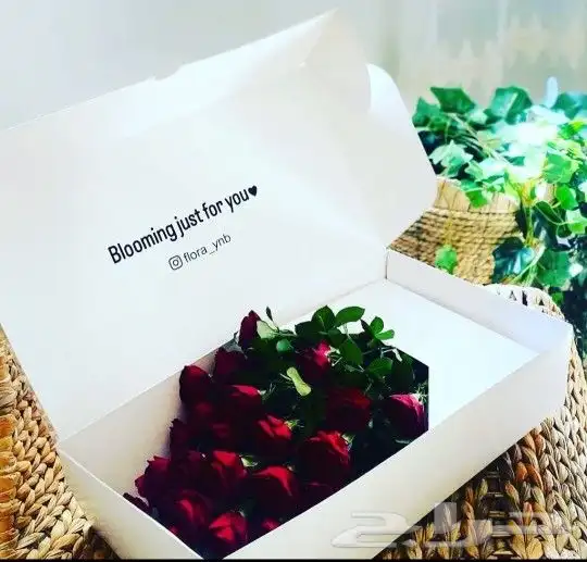 تصميم وطباعه كافه انواع البوكسات والاكياس الورقيه 2