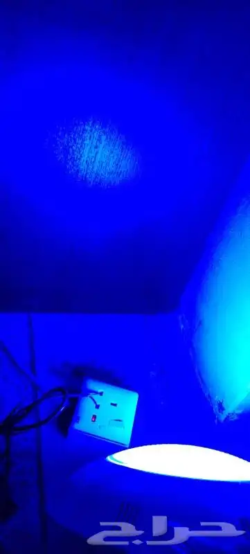 لمبات انارة مسابح نوعية ممتازة لون اصفر 6