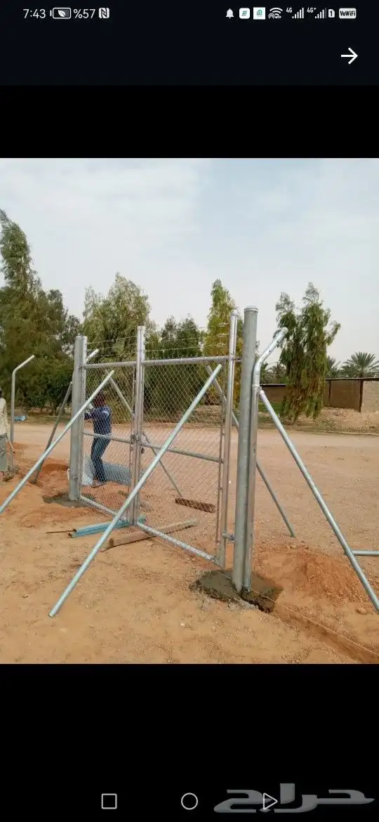 تركيب الشبوك وتوريد النخيل 2