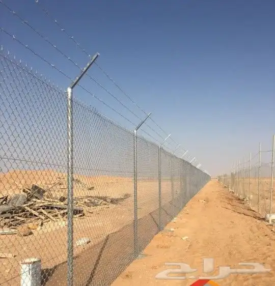 تركيب الشبوك وتوريد النخيل 4